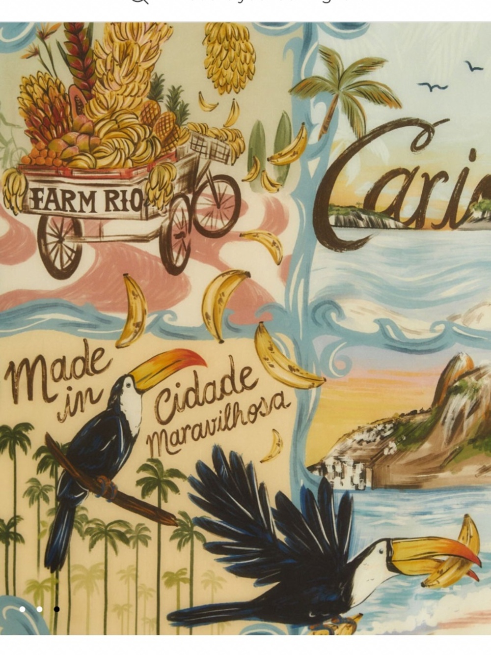 Farm Rio Carioca Scarf - Picture 2 of 8